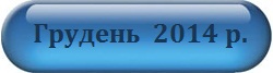 Грудень 2014